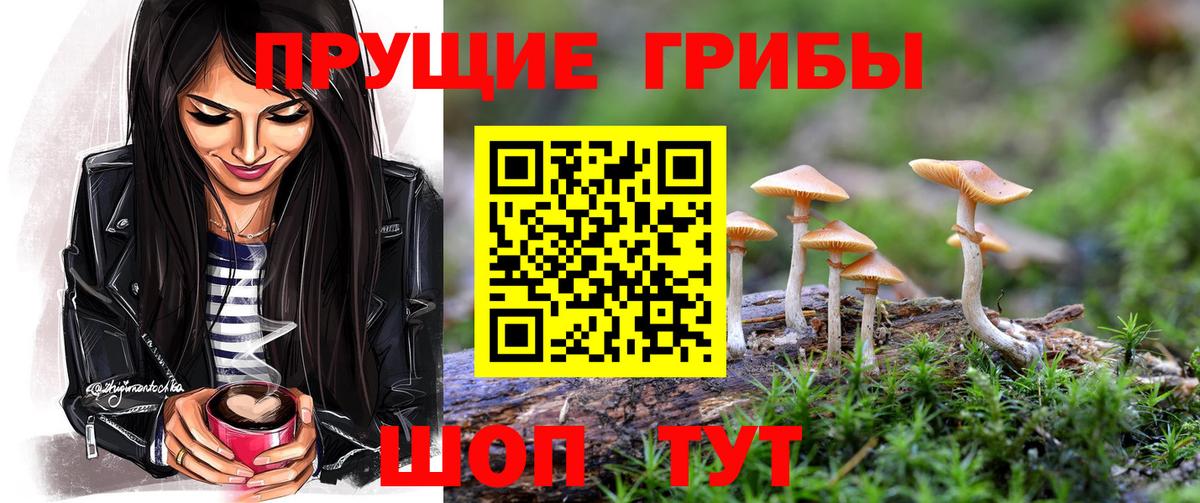 Псилоцибиновые грибы Psilocybine cubensis Белебей