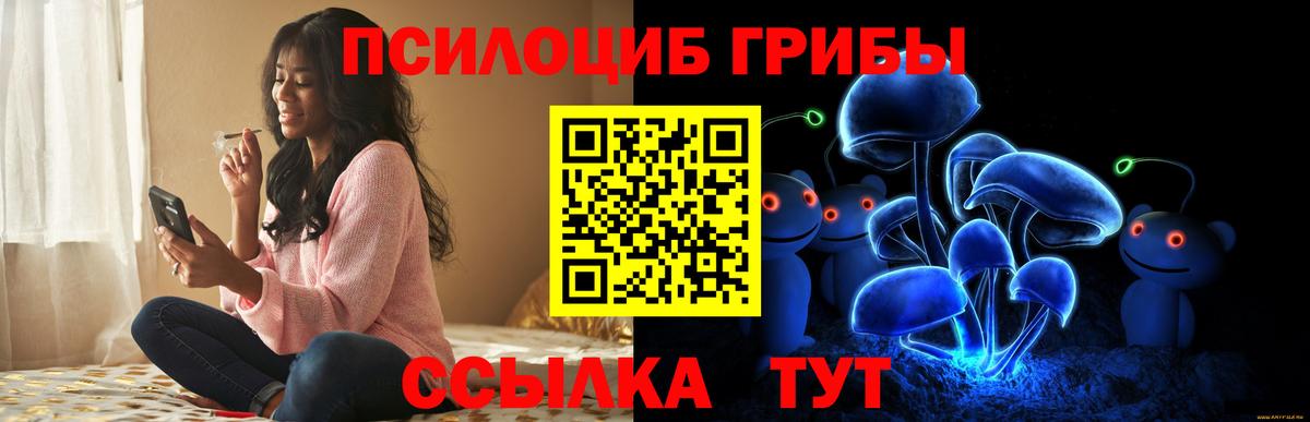 Псилоцибиновые грибы Psilocybe  Вход с VPN  Псилоцибиновые грибы мицелий  Белебей 